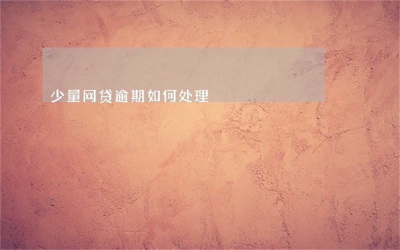 少量网贷逾期如何处理