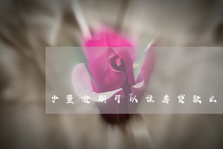 少量逾期可以住房贷款么 少量逾期可以住房贷款么