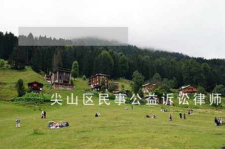 尖山区民事公益诉讼律师 尖山区民事公益诉讼律师