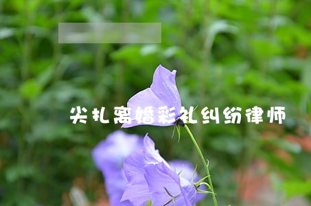 尖扎离婚彩礼纠纷律师 尖扎离婚彩礼纠纷律师