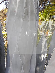 尖草坪债务债权案律师哪个好 尖草坪债务债权案律师哪个好