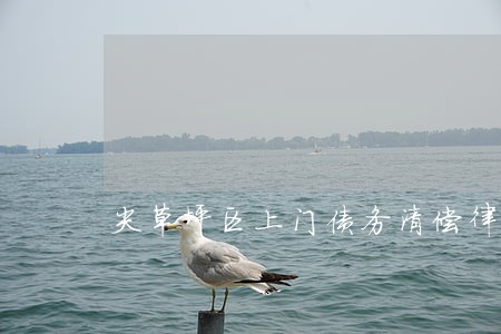 尖草坪区上门债务清偿律师 尖草坪区上门债务清偿律师