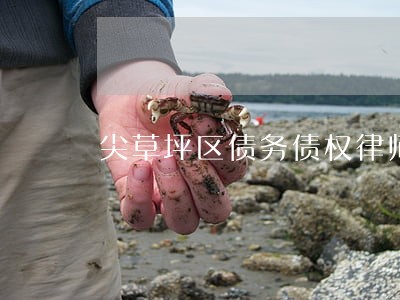 尖草坪区债务债权律师