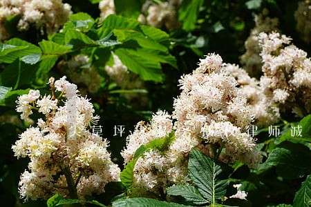尖草坪区债务债权律师诚信服务 尖草坪区债务债权律师诚信服务