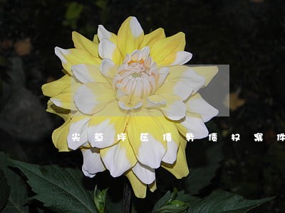 尖草坪区债务债权案件律师清单 尖草坪区债务债权案件律师清单