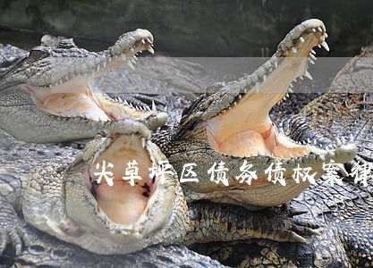 尖草坪区债务债权案律师特点