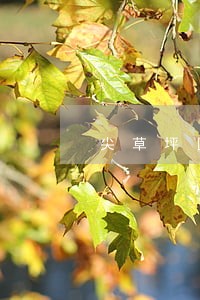 尖草坪区债务债权案律师程序 尖草坪区债务债权案律师程序