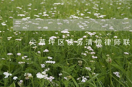 尖草坪区债务清偿律师联系方式 尖草坪区债务清偿律师联系方式