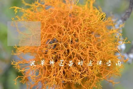 尖草坪区劳动法律咨询 尖草坪区劳动法律咨询