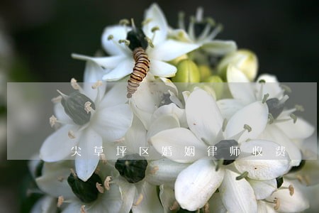 尖草坪区婚姻律师收费 尖草坪区婚姻律师收费