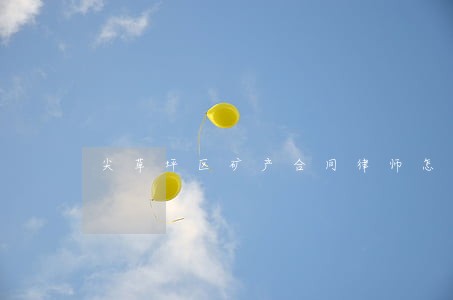 尖草坪区矿产合同律师怎么起诉 尖草坪区矿产合同律师怎么起诉