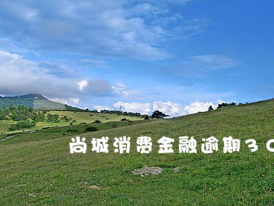 尚城消费金融逾期30天 尚城消费金融逾期30天
