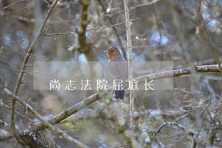 尚志法院屈庭长 尚志法院屈庭长