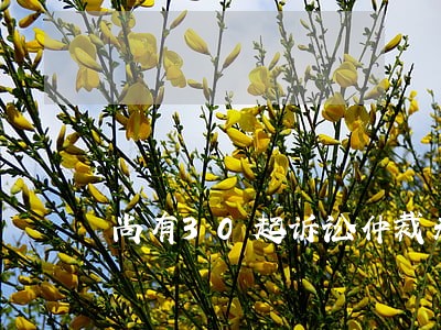 尚有30起诉讼仲裁未办结