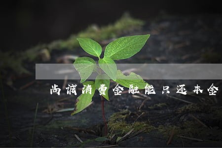 尚诚消费金融能只还本金吗 尚诚消费金融能只还本金吗