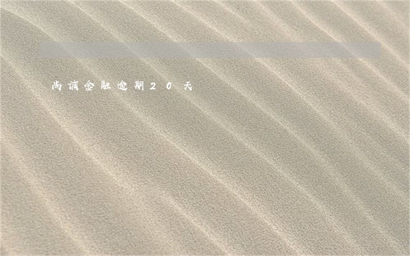 尚诚金融逾期20天