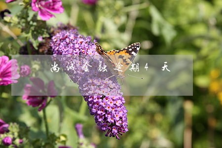 尚诚金融逾期4天 尚诚金融逾期4天