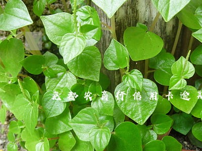 尧都农商行信用卡逾期利率