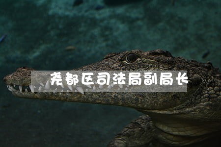 尧都区司法局副局长
