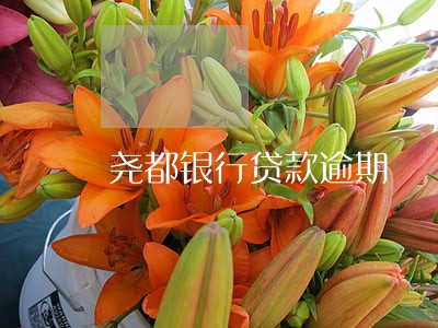 尧都银行贷款逾期 尧都银行贷款逾期