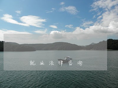 就业法律咨询