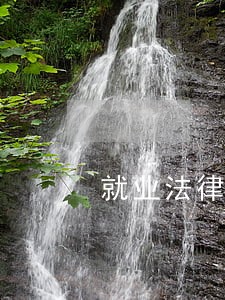 就业法律咨询最新消息 就业法律咨询最新消息