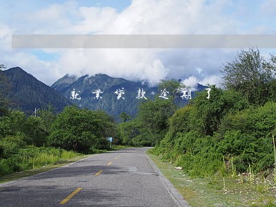 就业贷款逾期了 就业贷款逾期了