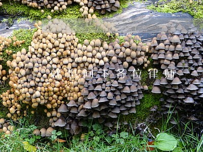 就想问下各位律师 就想问下各位律师