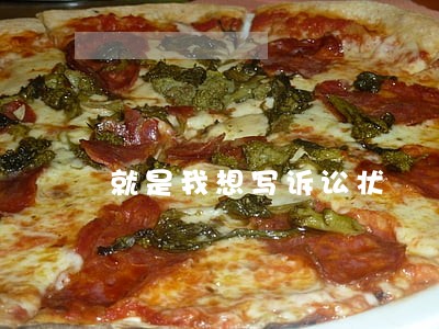 就是我想写诉讼状 就是我想写诉讼状
