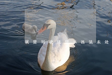就是驾驶证显示违法未处理扣留