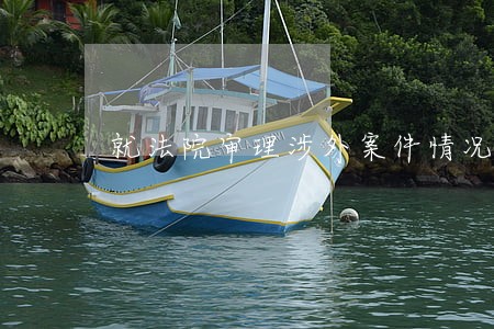 就法院审理涉外案件情况 就法院审理涉外案件情况