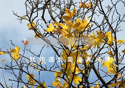 就知道我国没有法律 就知道我国没有法律