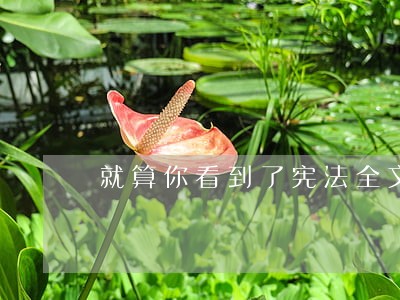 就算你看到了宪法全文 就算你看到了宪法全文
