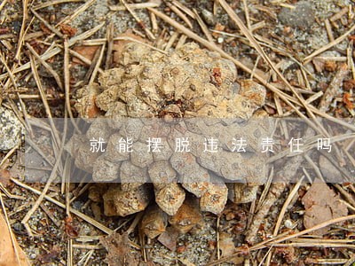 就能摆脱违法责任吗