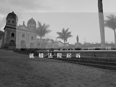 就被法院起诉 就被法院起诉