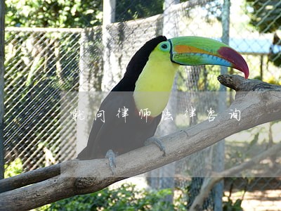 就问律师法律咨询 就问律师法律咨询