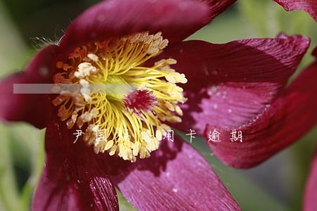 尹国福信用卡逾期 尹国福信用卡逾期