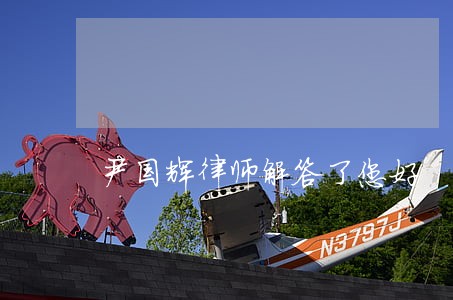 尹国辉律师解答了您好