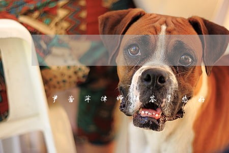 尹蕾萍律师解答了您好 尹蕾萍律师解答了您好