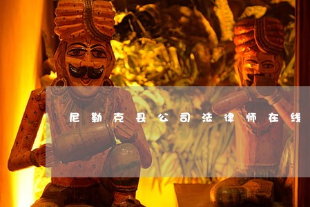 尼勒克县公司法律师在线免费咨询 尼勒克县公司法律师在线免费咨询