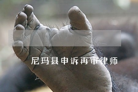 尼玛县申诉再审律师 尼玛县申诉再审律师