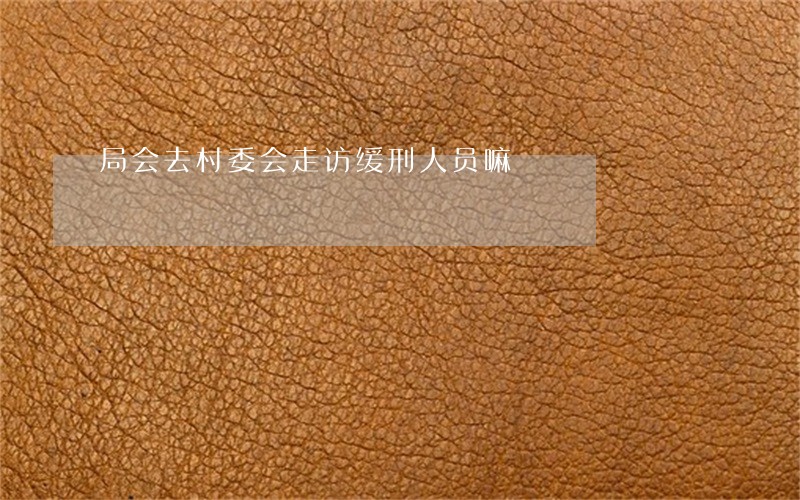 局会去村委会走访缓刑人员嘛 局会去村委会走访缓刑人员嘛