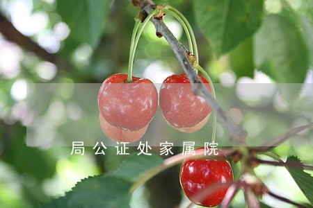 局公证处家属院 局公证处家属院