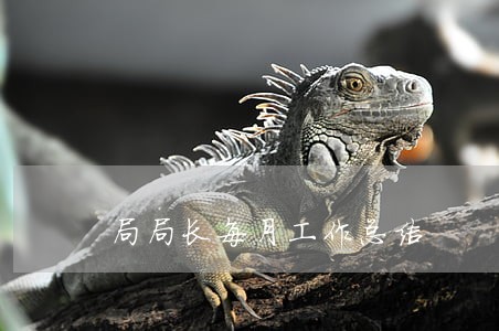 局局长每月工作总结 局局长每月工作总结