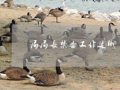 局局长禁毒工作述职 局局长禁毒工作述职