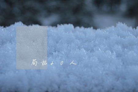 局招20人