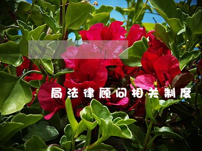 局法律顾问相关制度 局法律顾问相关制度