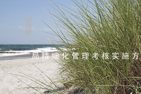 局精细化管理考核实施方案 局精细化管理考核实施方案