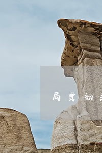 局贯彻落实问责条例自查报告 局贯彻落实问责条例自查报告