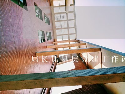局长抓基层党建工作述职报告 局长抓基层党建工作述职报告